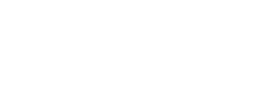 AIG Insurance